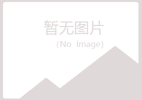 铜官山区迷茫体育有限公司